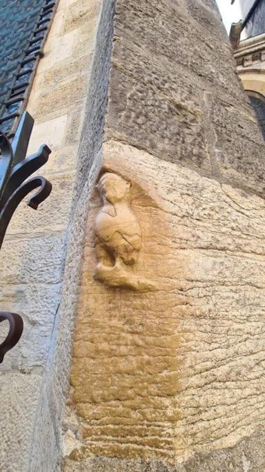 דירות Trop Chouette Centre דיז'ון מראה חיצוני תמונה